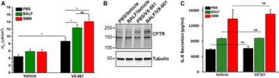Airway Epithelial Inflammation In Vitro Augments the Rescue of Mutant CFTR by Current <mark class="highlighted">CFTR Modulator</mark> Therapies